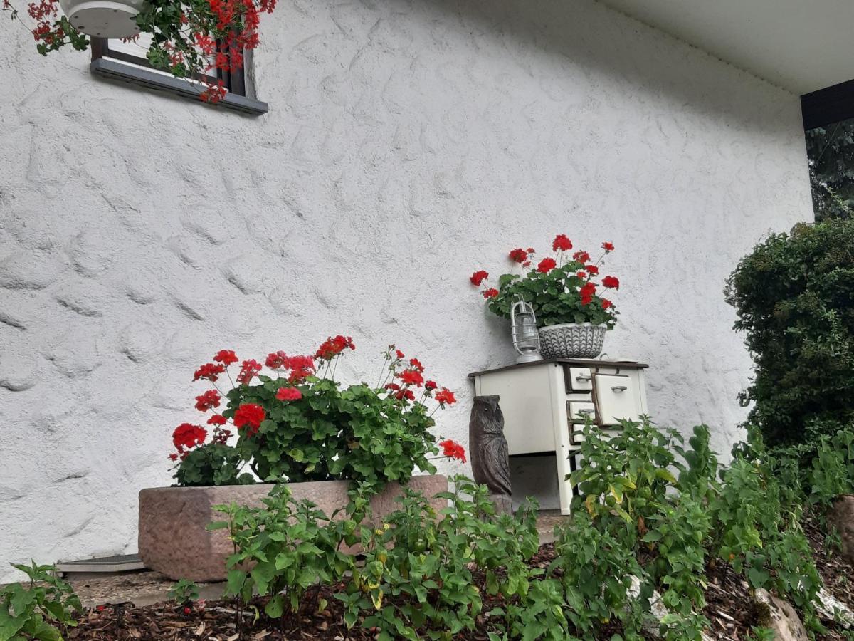 Ferienapartment Karle Nordrach Εξωτερικό φωτογραφία